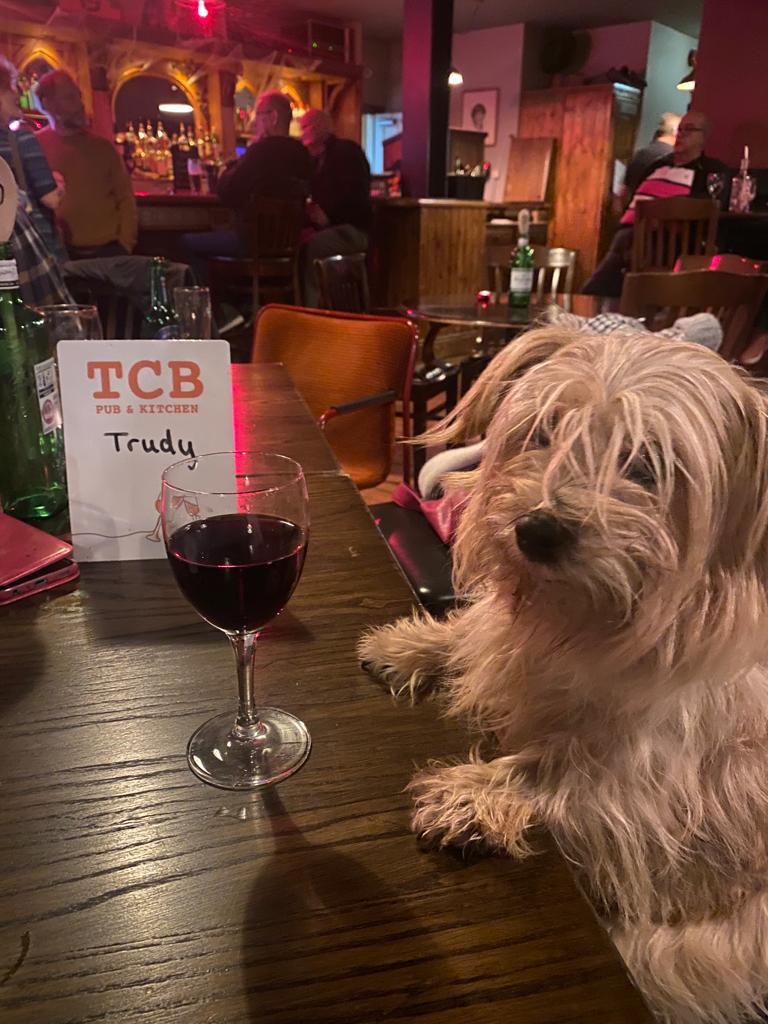 Trudy the dog at a table inside The Charles Bradlaugh